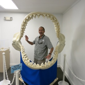 The Sandoway House Nature Center in Delray Beach had an exhibit of 100 shark jaws