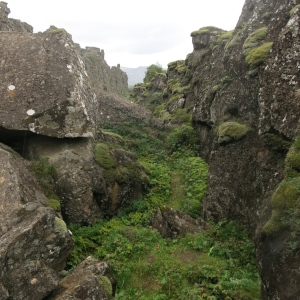 Thingvellier National Park. One of the cracks formed by the increasing rift between the North American Plate and the Eurasian Plate